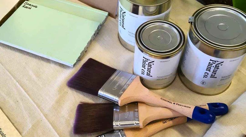 Everything You Need to Know About No VOC Paints | Pure Eco Painting | Painter Nelson